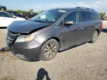  Salvage Honda Odyssey