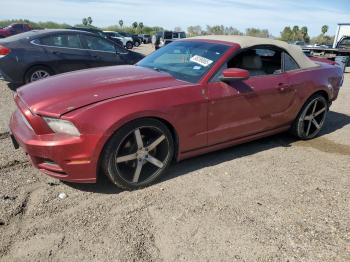  Salvage Ford Mustang