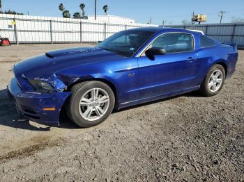  Salvage Ford Mustang