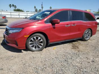  Salvage Honda Odyssey