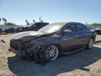  Salvage Nissan Maxima
