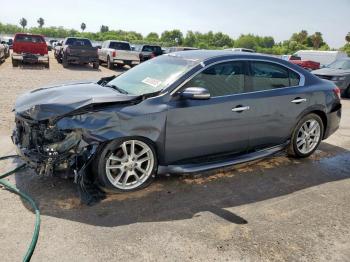  Salvage Nissan Maxima
