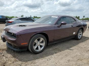  Salvage Dodge Challenger
