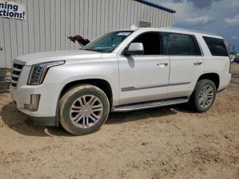  Salvage Cadillac Escalade