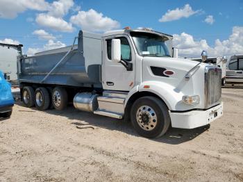  Salvage Peterbilt 567