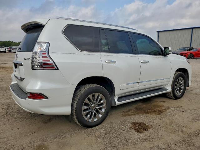 Lexus Gx 460 Premium Image 13