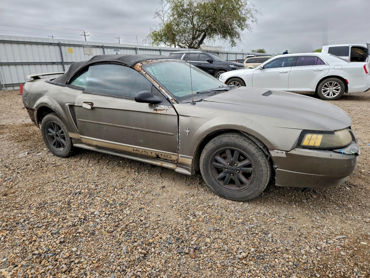 Ford Mustang Image 2