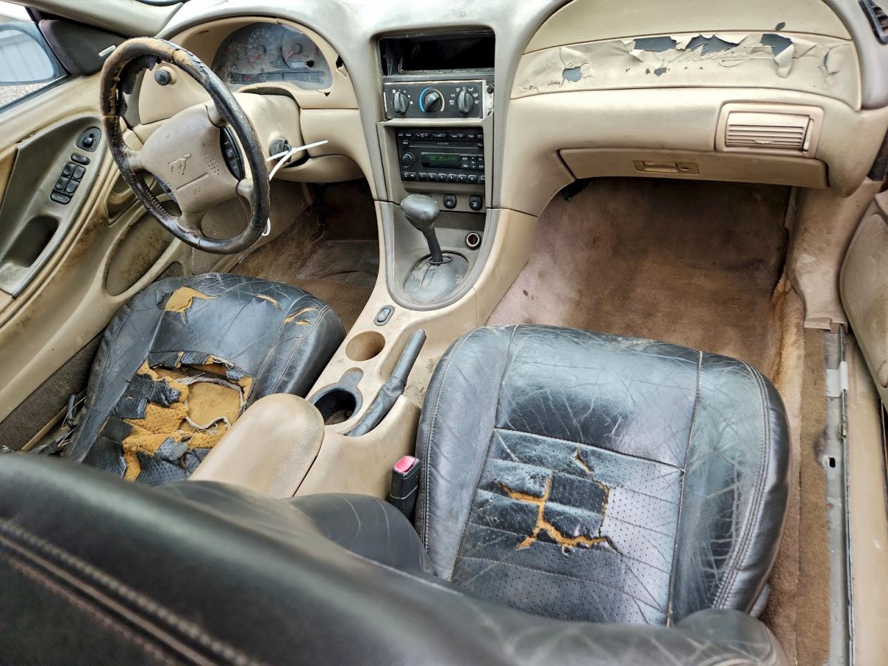 Ford Mustang Image 4