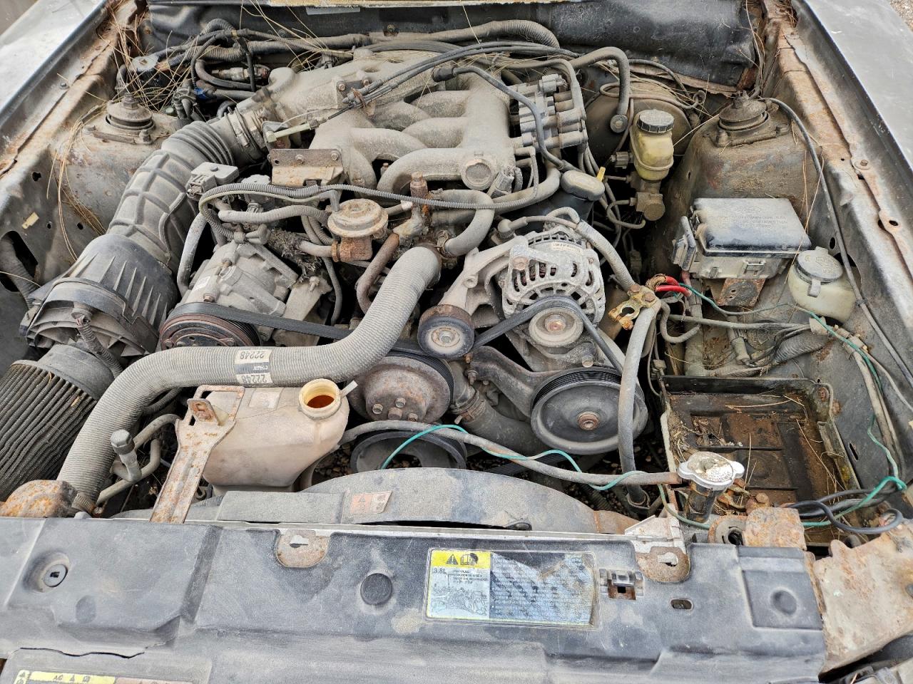 Ford Mustang Image 12