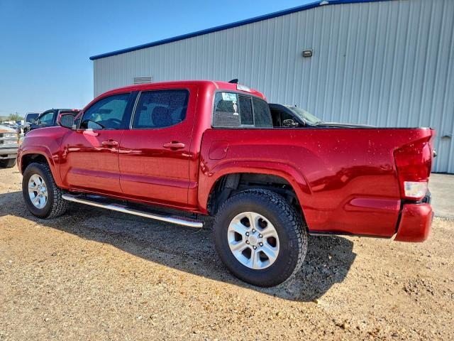 Toyota Tacoma Double Cab Image 2