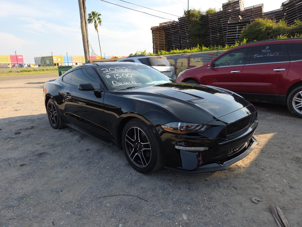 Ford Mustang Image 1