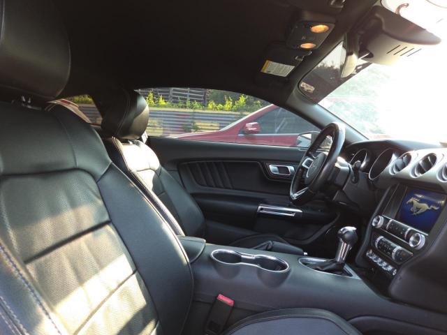 Ford Mustang Image 6