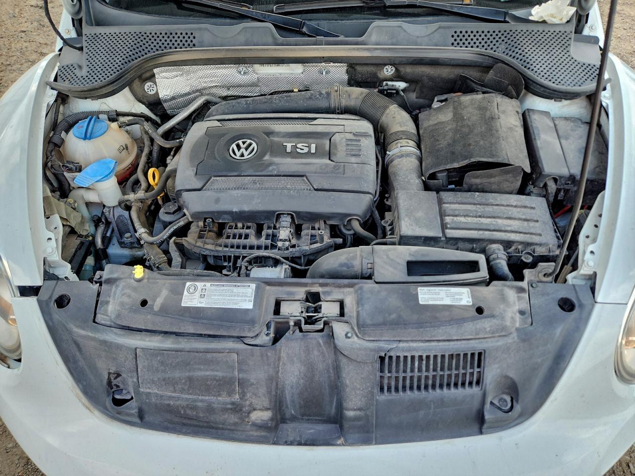 Volkswagen Beetle Se Image 11