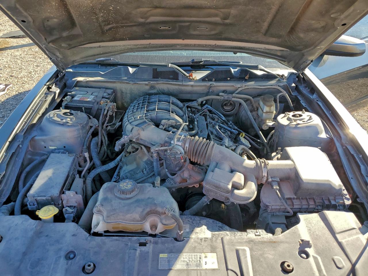 Ford Mustang Image 10