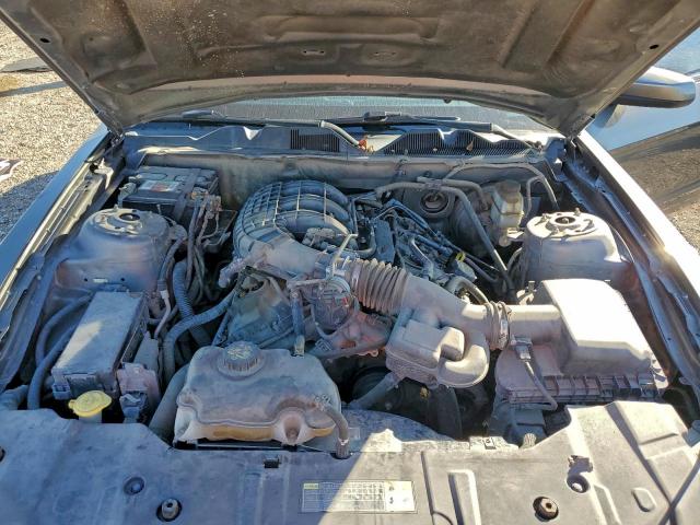 Ford Mustang Image 10