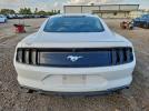 Ford Mustang Image 3